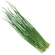 лук шнитт