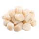 морской гребешок